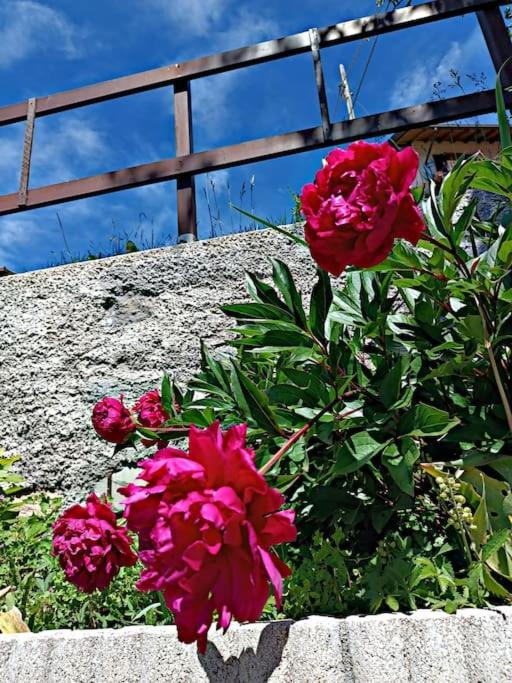 Brezza Di Lago Costa Volpino Exterior foto